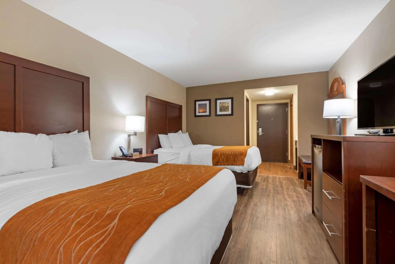 Comfort Inn Binghamton I-81 Экстерьер фото