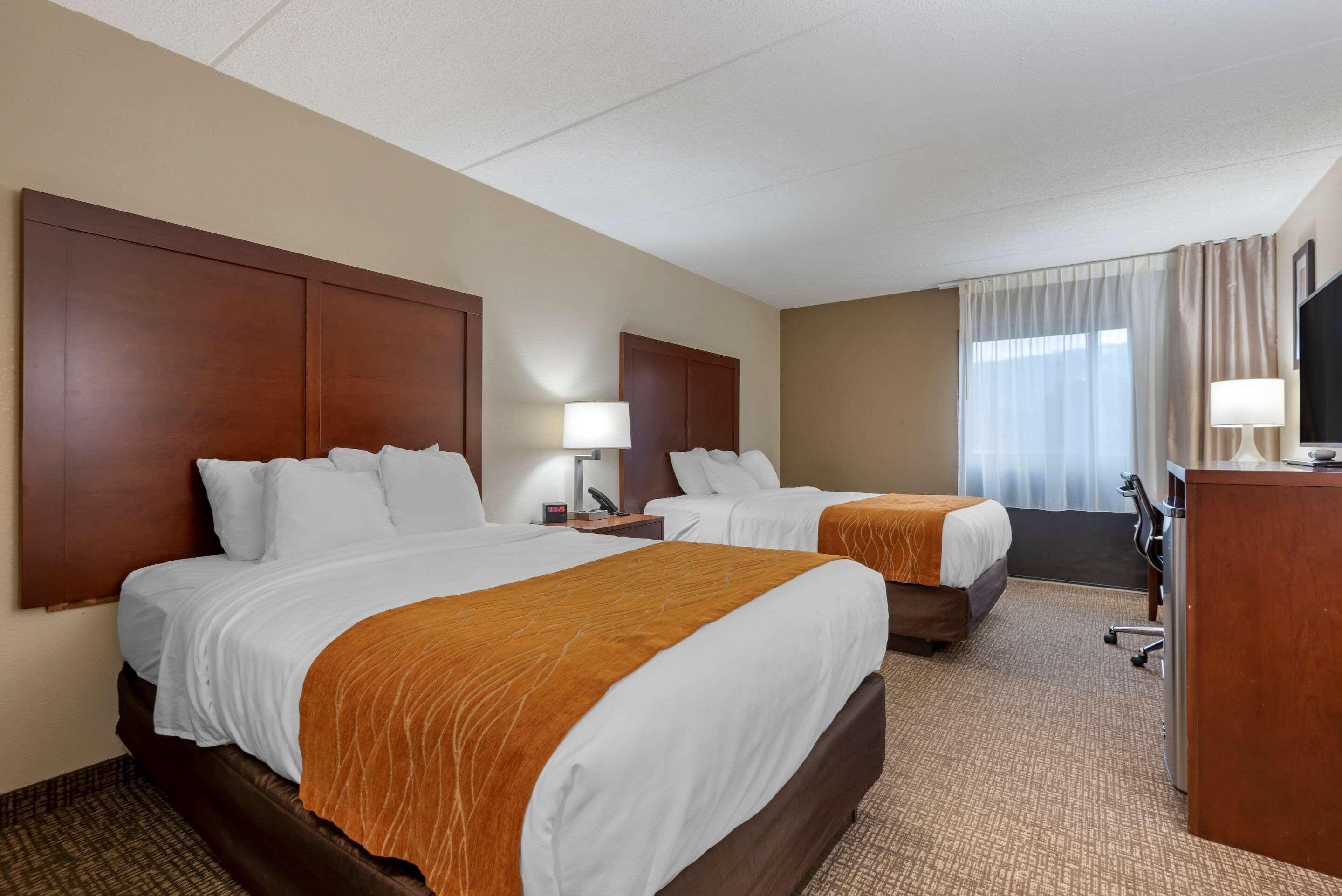 Comfort Inn Binghamton I-81 Экстерьер фото