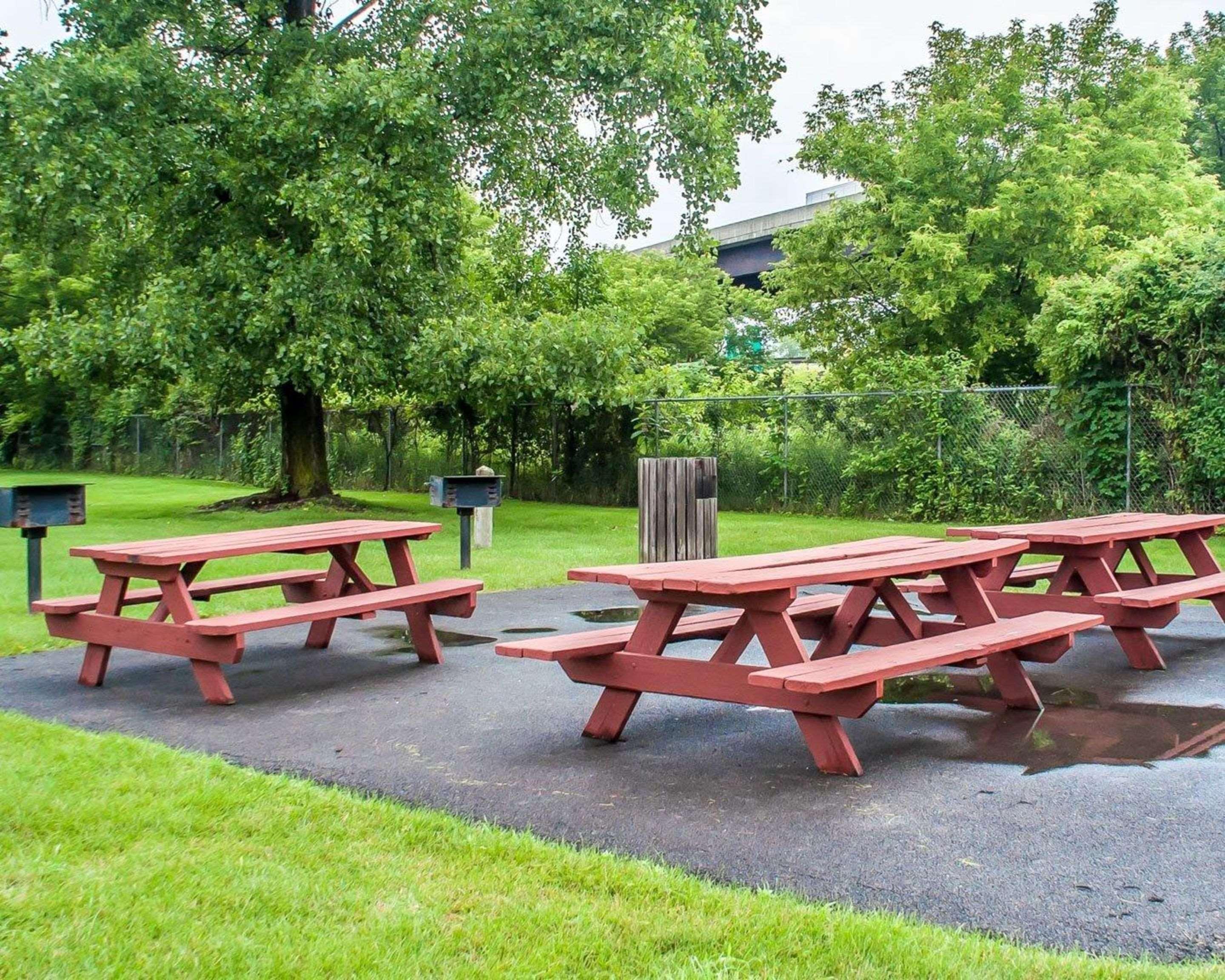 Comfort Inn Binghamton I-81 Экстерьер фото